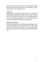 Referāts 'Aušanas tehnoloģiskais process', 11.