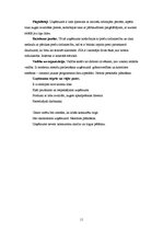 Referāts 'SIA "Prestižs" raksturojums', 13.