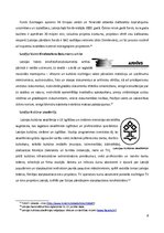 Referāts 'Kultūrpolitika Kultūras ministrijas nozarē "Filmu māksla"', 8.