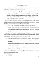 Referāts 'Kultūrpolitika Kultūras ministrijas nozarē "Filmu māksla"', 17.