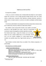 Referāts 'Kultūrpolitika Kultūras ministrijas nozarē "Filmu māksla"', 29.