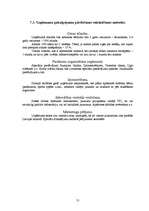 Biznesa plāns 'Biznesa plāns viesnīcai', 21.