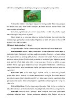 Referāts 'Bietes. Kvalitātes rādītāji. Agrotehnika', 16.