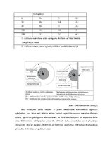 Referāts 'Drošības jautājumi, veicot darbus elektroietaisēs', 9.