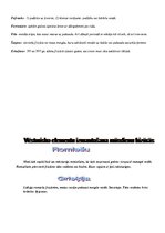 Referāts 'Vēsturisko frizūru attīstības vēsture - Asīrija, Babilonija', 9.