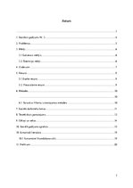 Referāts 'Sociālā gadījuma analīze', 3.