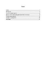 Prakses atskaite 'Prakses dienasgrāmata attālinātam darbam ar skolēniem', 3.