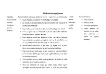 Prakses atskaite 'Prakses dienasgrāmata attālinātam darbam ar skolēniem', 13.