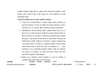 Prakses atskaite 'Prakses dienasgrāmata attālinātam darbam ar skolēniem', 17.