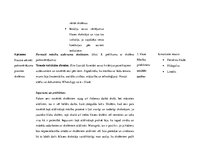 Prakses atskaite 'Prakses dienasgrāmata attālinātam darbam ar skolēniem', 24.