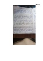 Prakses atskaite 'Prakses dienasgrāmata attālinātam darbam ar skolēniem', 28.