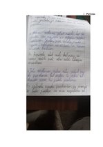 Prakses atskaite 'Prakses dienasgrāmata attālinātam darbam ar skolēniem', 29.