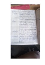 Prakses atskaite 'Prakses dienasgrāmata attālinātam darbam ar skolēniem', 34.