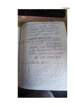 Prakses atskaite 'Prakses dienasgrāmata attālinātam darbam ar skolēniem', 35.