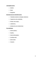 Konspekts 'Magnētterapija', 13.