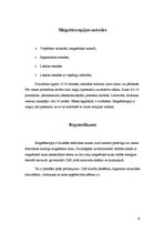 Konspekts 'Magnētterapija', 14.