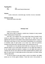 Paraugs 'Lietvedības dokumentu paraugi', 15.