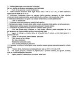 Paraugs 'Lietvedības dokumentu paraugi', 49.