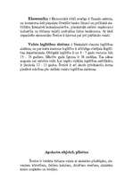 Referāts 'Šveice ', 4.