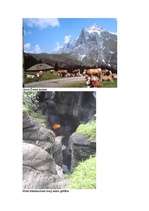 Referāts 'Šveice ', 19.