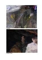 Referāts 'Šveice ', 21.