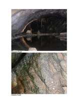 Referāts 'Šveice ', 24.