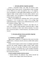 Referāts 'Jūrmalas pilsētas tūrisma produkta raksturojums', 6.