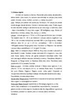 Referāts 'Jūrmalas pilsētas tūrisma produkta raksturojums', 9.