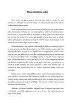 Referāts 'Prozas darba analīze. Lolita Puncule "Nenosalt sniegā"', 4.