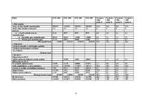 Prakses atskaite 'SIA "Capital" finanšu analīze', 15.