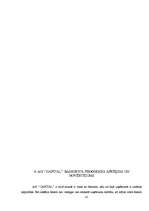 Prakses atskaite 'SIA "Capital" finanšu analīze', 43.