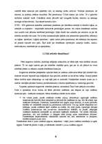 Referāts 'Domāšanas attīstības īpatnības pirmsskolas vecumā', 6.