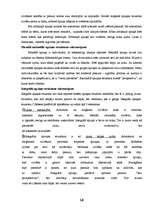 Referāts 'Domāšanas attīstības īpatnības pirmsskolas vecumā', 14.