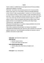 Referāts 'Ūdens tūrisms', 3.