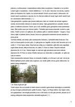 Referāts 'Ūdens tūrisms', 6.