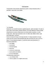 Referāts 'Ūdens tūrisms', 17.