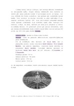 Konspekts 'Versaļas pils - lielā stila spožākais piemērs Francijas 17.gs. arhitektūrā', 2.