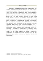 Konspekts 'Versaļas pils - lielā stila spožākais piemērs Francijas 17.gs. arhitektūrā', 7.