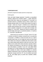 Konspekts 'Autortiesību aizsardzība', 3.