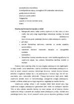 Referāts 'Viesu māja "Saulīši”', 3.