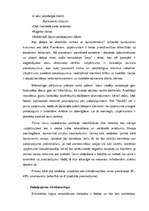 Referāts 'Viesu māja "Saulīši”', 5.