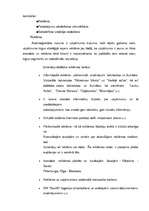 Referāts 'Viesu māja "Saulīši”', 6.