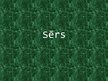 Prezentācija 'Sērs', 1.