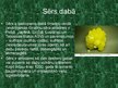 Prezentācija 'Sērs', 5.