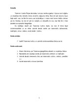 Referāts 'Taizeme', 3.