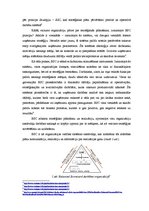 Referāts 'Līdzsvarotās vadības karte', 5.