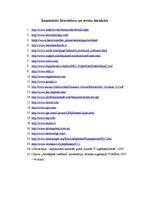 Referāts 'Līdzsvarotās vadības karte', 19.