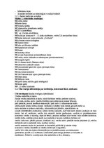 Prakses atskaite 'Maģistra prakse', 6.