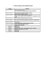 Prakses atskaite 'Maģistra prakse', 7.