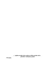 Prakses atskaite 'Maģistra prakse', 12.